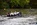 Bewl Rowing Club Maidstone Head October 2017