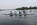 BBRC Learn to Row Easter 2019