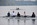BBRC Learn to Row Easter 2019